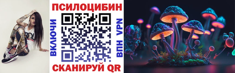 блэк спрут онион  Покров  Галлюциногенные грибы Magic Shrooms 