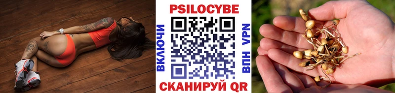 Псилоцибиновые грибы GOLDEN TEACHER Покров